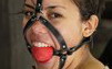 Das Bondage Portal